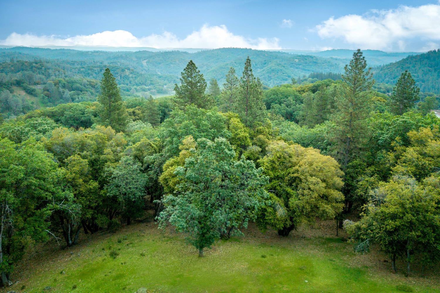 16105 John Way Grass Valley, CA 95949 - Photo 63 of 71