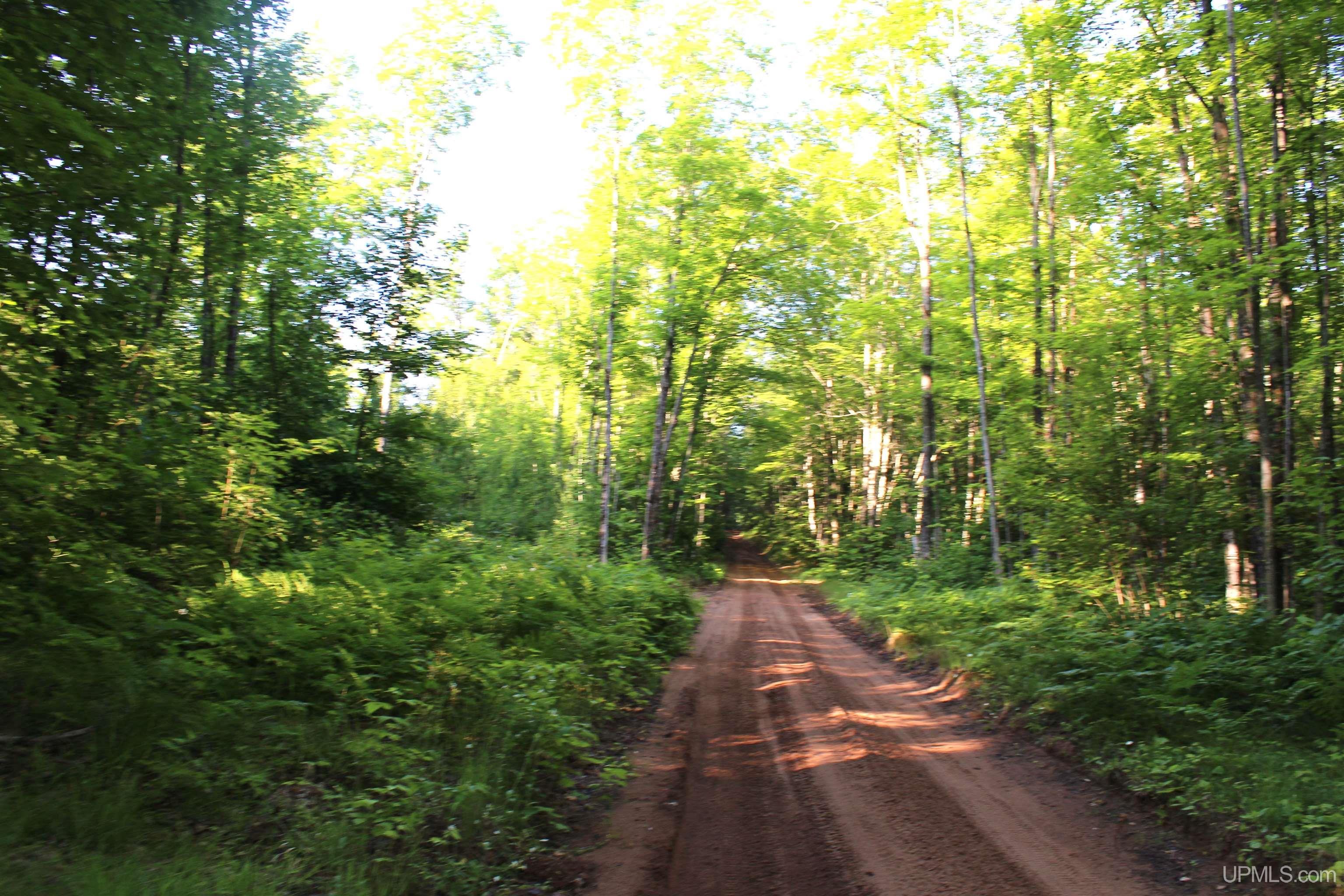 On Alder Cr Road Marquette, MI 49855 - Photo 6 of 20