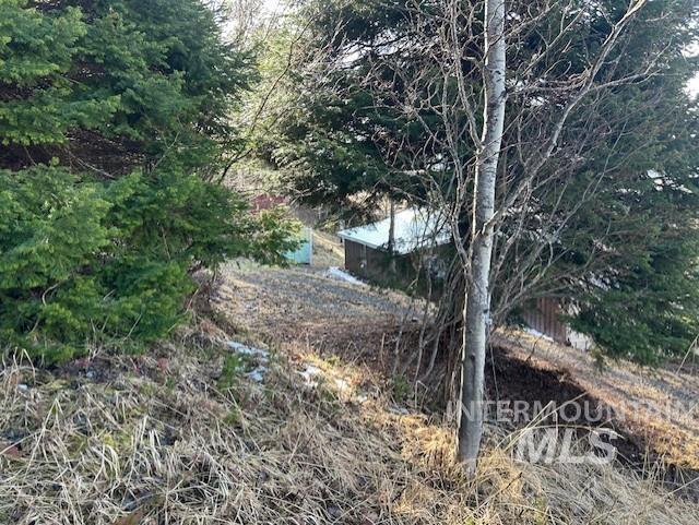 820 Sweeney Road Elk City, ID 83525 - Photo 34 of 45 View of undeveloped land