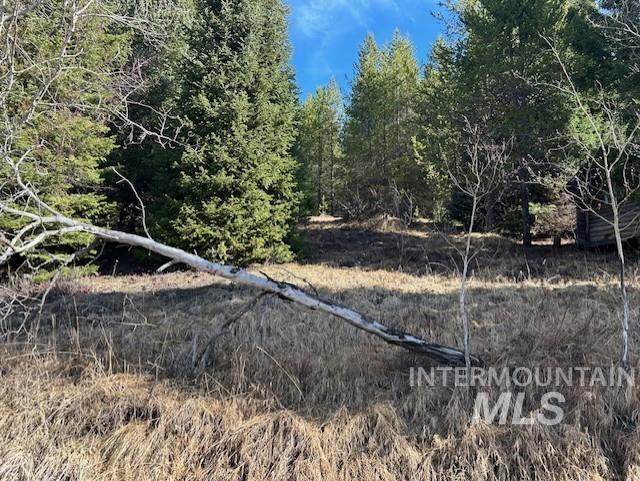 820 Sweeney Road Elk City, ID 83525 - Photo 36 of 45 View of local wilderness