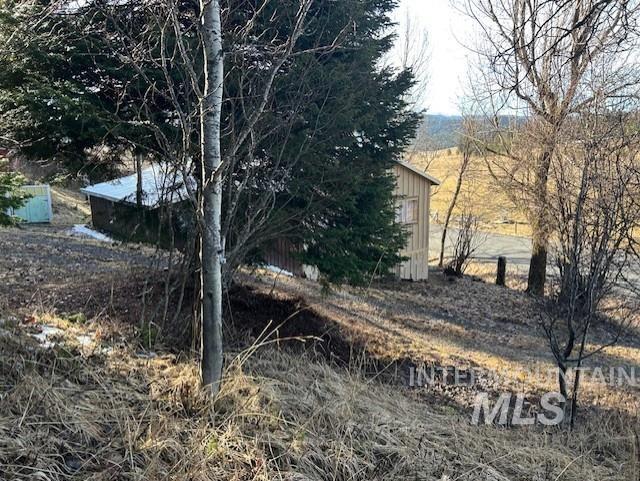 820 Sweeney Road Elk City, ID 83525 - Photo 42 of 45 View of yard