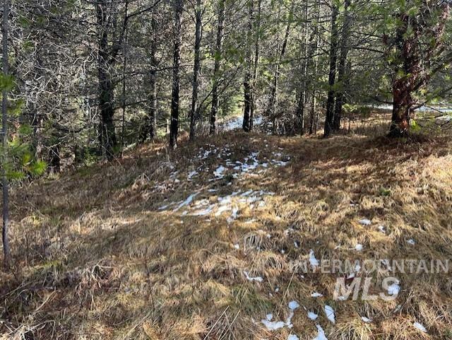 820 Sweeney Road Elk City, ID 83525 - Photo 43 of 45 View of local wilderness