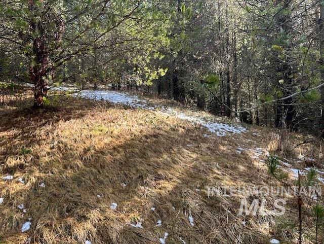 820 Sweeney Road Elk City, ID 83525 - Photo 44 of 45 View of yard