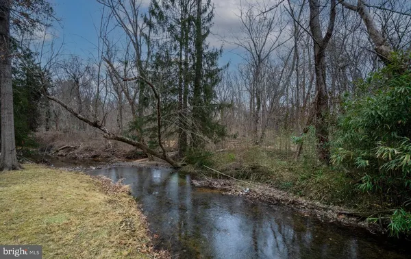 a view of a yard with trees