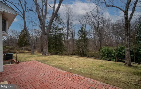 a view of backyard with trees