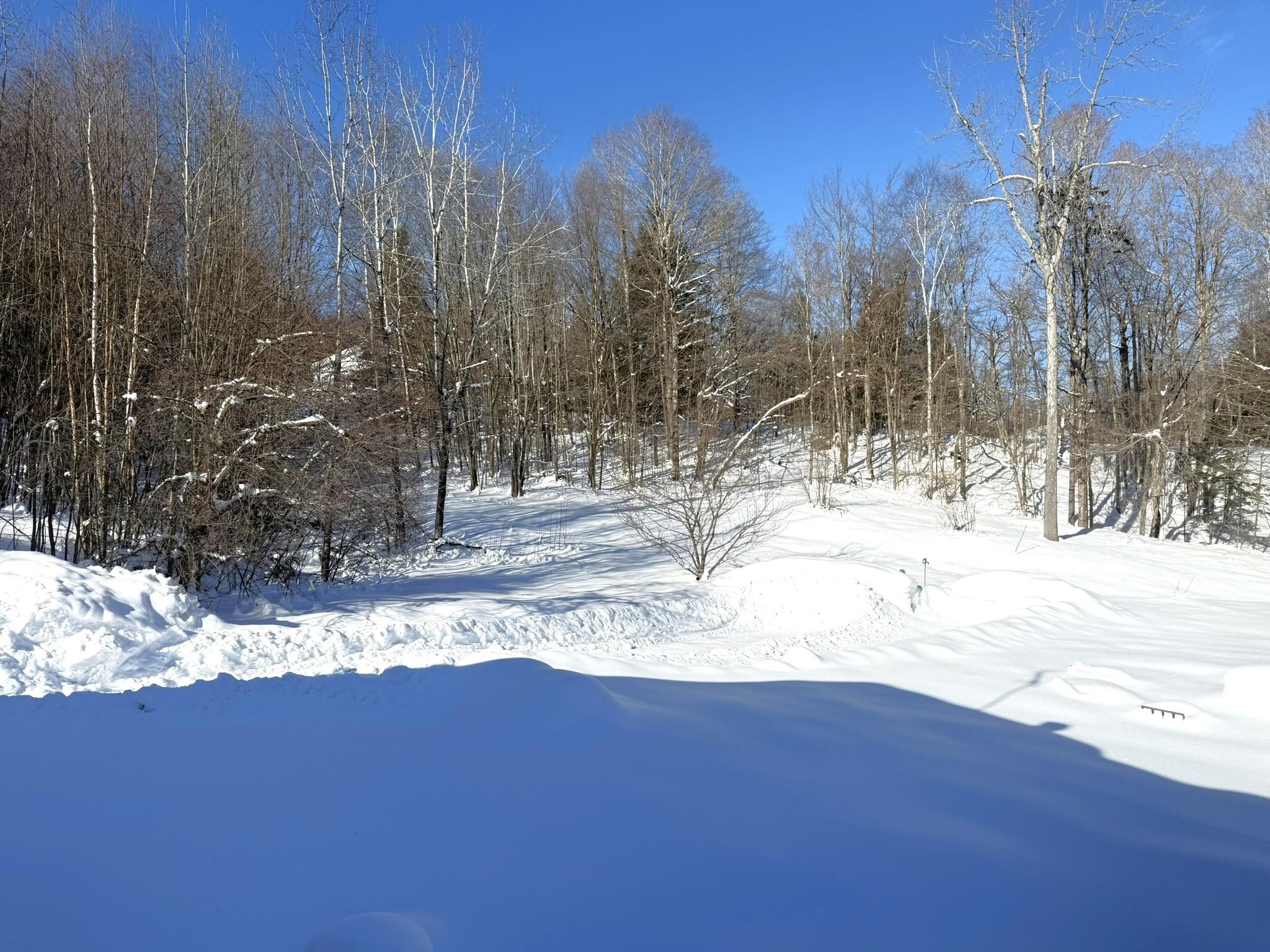 245 Scribner Road Woodbury, VT 05650 - Photo 21 of 29