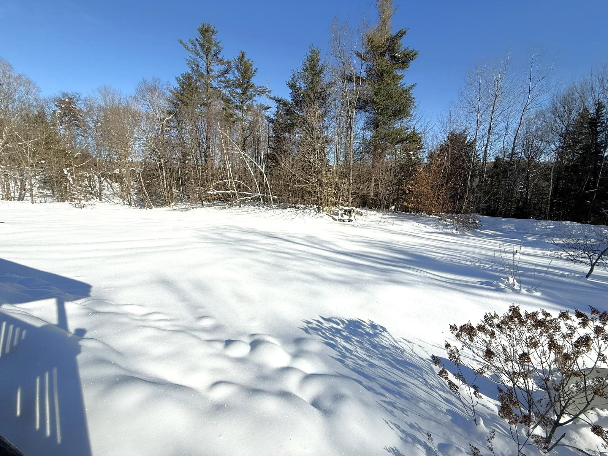 245 Scribner Road Woodbury, VT 05650 - Photo 22 of 29