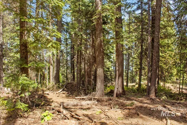 $150,000 | 80 Arling Trail, Cascade, ID 83611