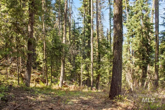 $150,000 | 80 Arling Trail, Cascade, ID 83611