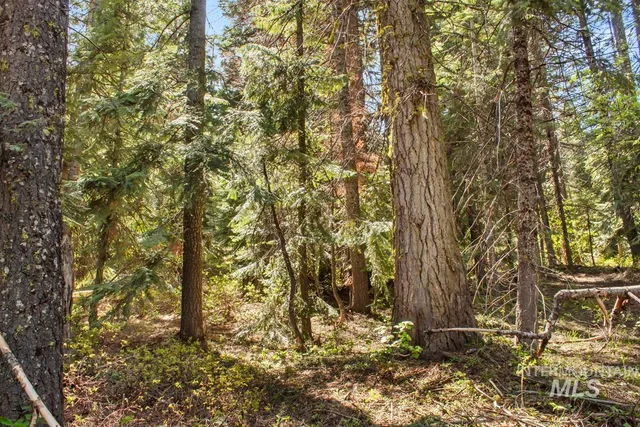 $150,000 | 80 Arling Trail, Cascade, ID 83611