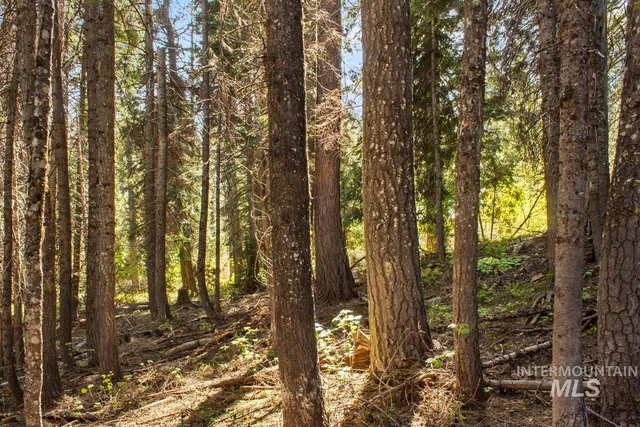 $150,000 | 80 Arling Trail, Cascade, ID 83611