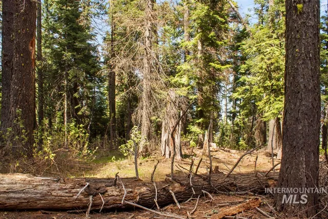 $150,000 | 80 Arling Trail, Cascade, ID 83611