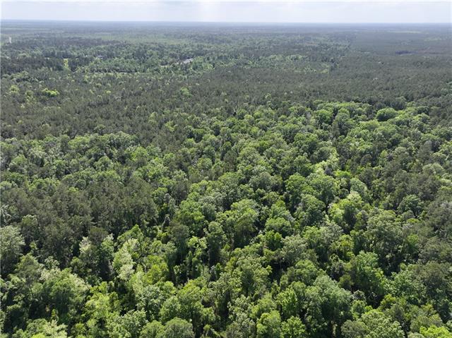 0 Elmore McKigney Lane Springfield, LA 70462 - Photo 1 of 28
