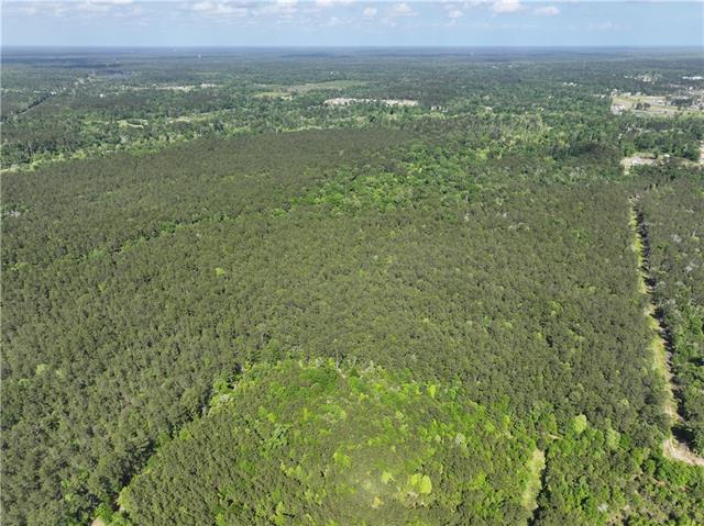 0 Elmore McKigney Lane Springfield, LA 70462 - Photo 11 of 28