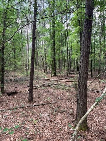 0 Elmore McKigney Lane Springfield, LA 70462 - Photo 13 of 28
