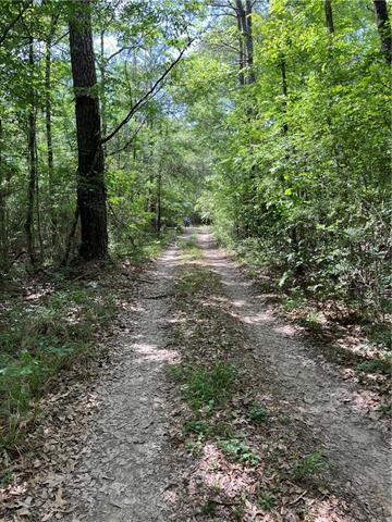 0 Elmore McKigney Lane Springfield, LA 70462 - Photo 15 of 28