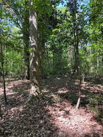 0 Elmore McKigney Lane Springfield, LA 70462 - Photo 17 of 28