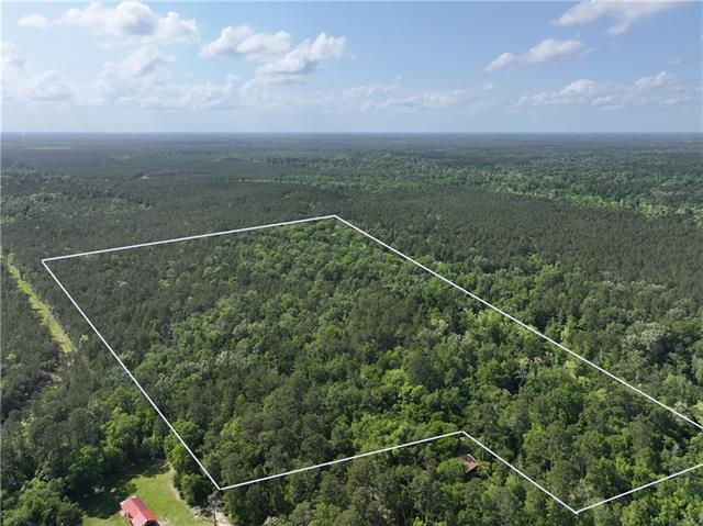 0 Elmore McKigney Lane Springfield, LA 70462 - Photo 2 of 28