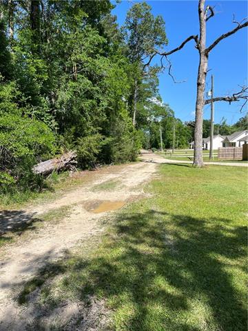 0 Elmore McKigney Lane Springfield, LA 70462 - Photo 22 of 28