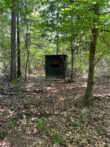 0 Elmore McKigney Lane Springfield, LA 70462 - Photo 23 of 28