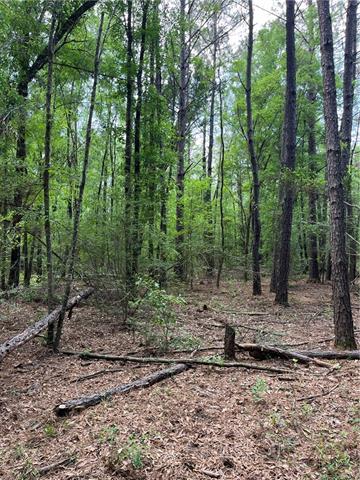 0 Elmore McKigney Lane Springfield, LA 70462 - Photo 25 of 28