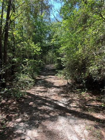 0 Elmore McKigney Lane Springfield, LA 70462 - Photo 26 of 28