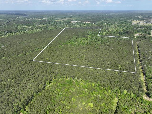 0 Elmore McKigney Lane Springfield, LA 70462 - Photo 3 of 28