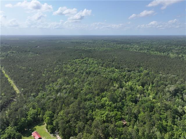 0 Elmore McKigney Lane Springfield, LA 70462 - Photo 6 of 28