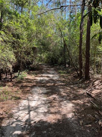 0 Elmore McKigney Lane Springfield, LA 70462 - Photo 7 of 28