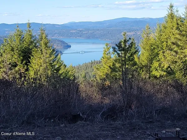 $180,000 | 10 Acres, Plummer, ID 83851