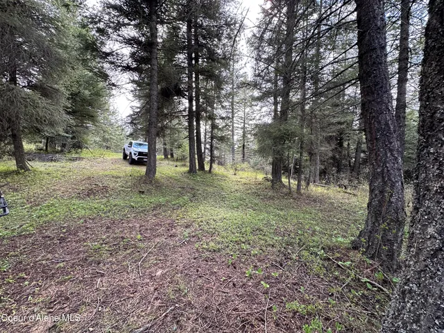 $180,000 | 10 Acres, Plummer, ID 83851