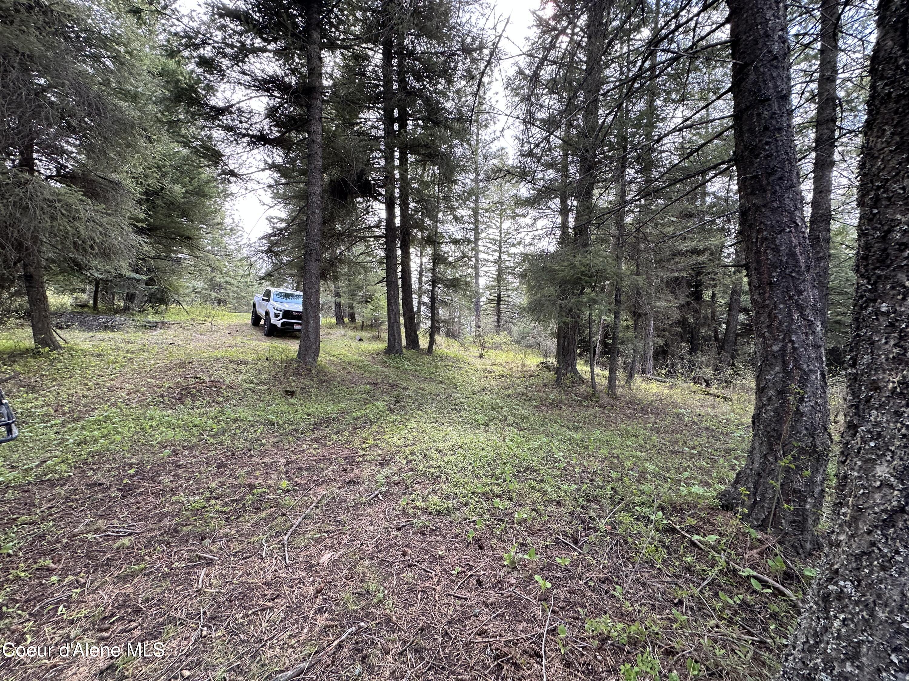 10 Acres Plummer, ID 83851 - Photo 24 of 25 IMG_0824