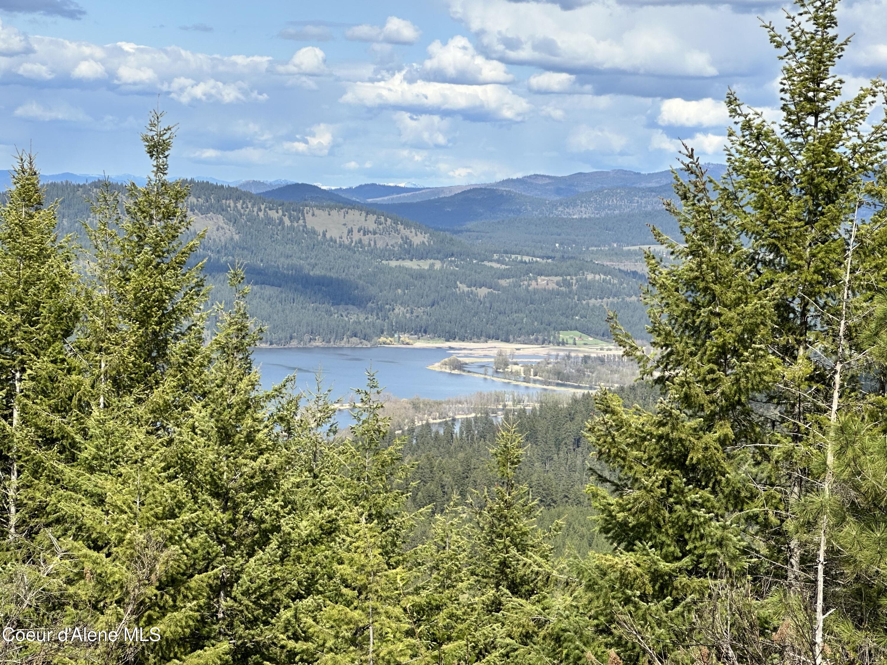 10 Acres Plummer, ID 83851 - Photo 5 of 25 IMG_0815