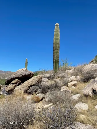 $120,000 | 23325 Gold Dollar Trail, Congress, AZ 85332