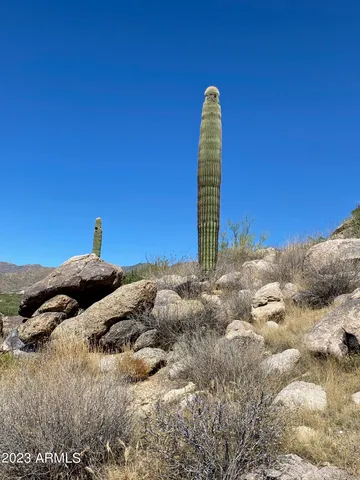 a backyard of a house with a mountain