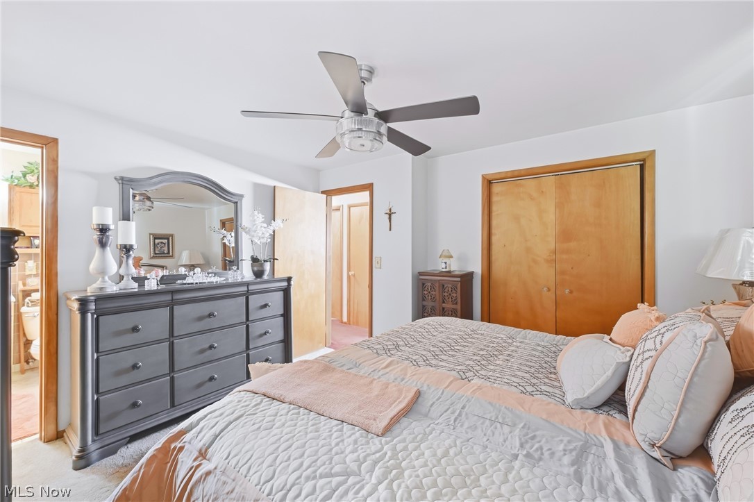 1850 Price Road Youngstown, OH 44509 - Photo 34 of 50 primary bedroom
