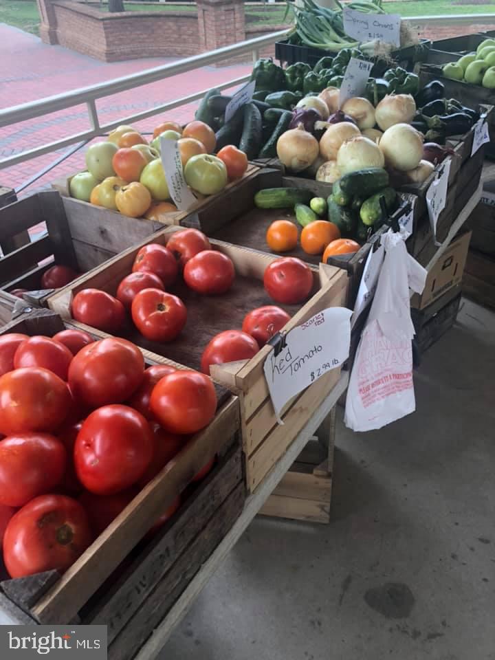 2669 Brook Valley Road Frederick, MD 21701 - Photo 65 of 70 SEASONAL COMMUNITY FARMER'S MARKET - FRESH!
