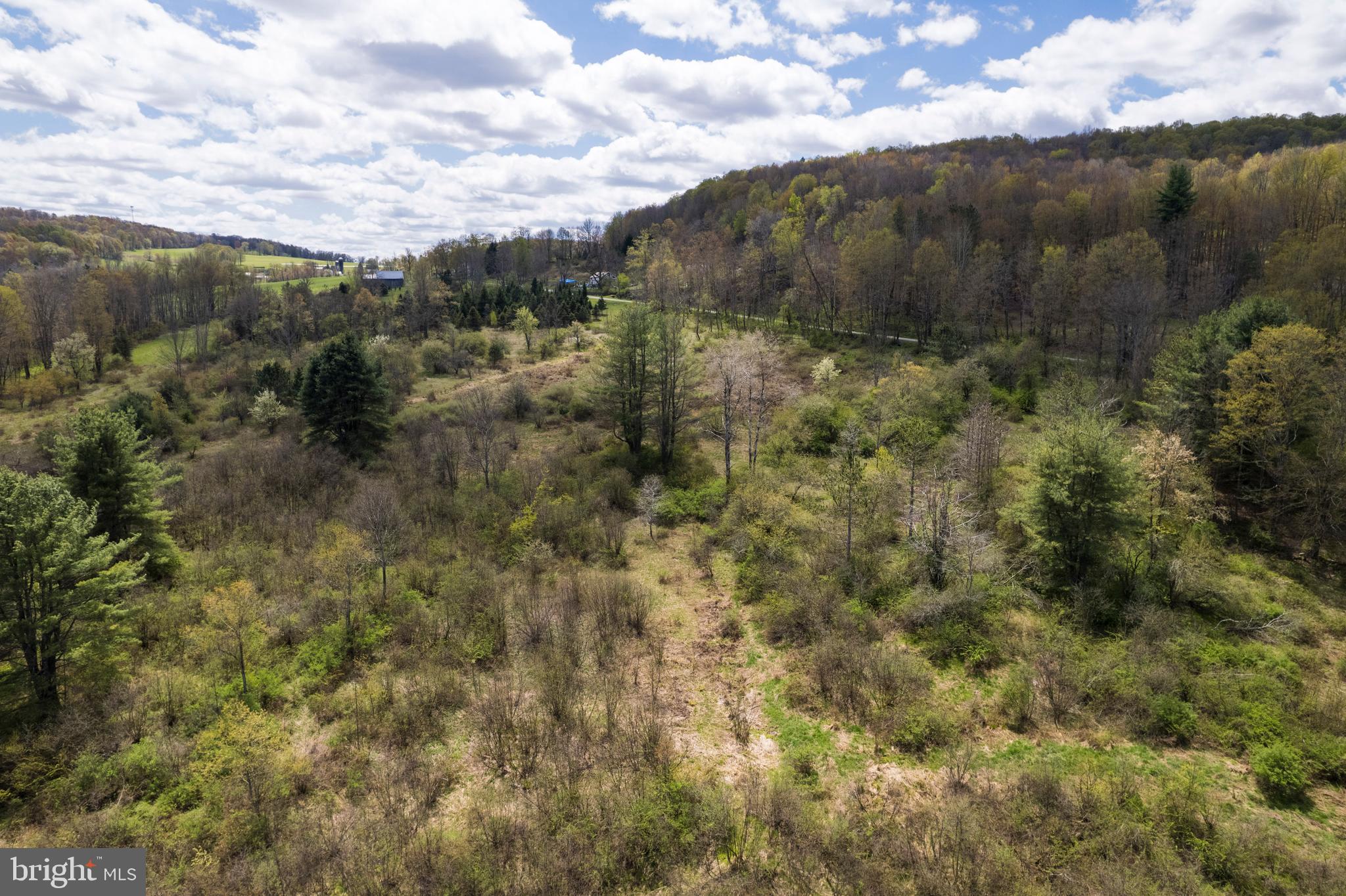 0 Holbrook Road Montrose, PA 18801 - Photo 25 of 147