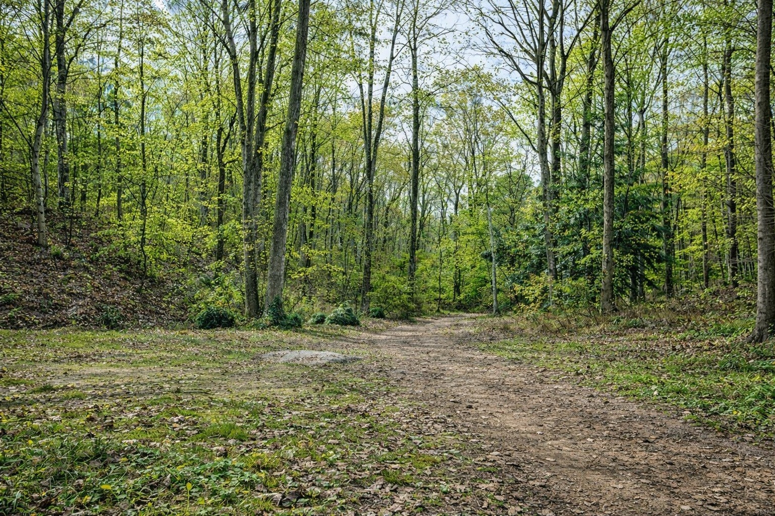 1135 West Mink Branch Road Waynesboro, TN 38485 - Photo 59 of 83