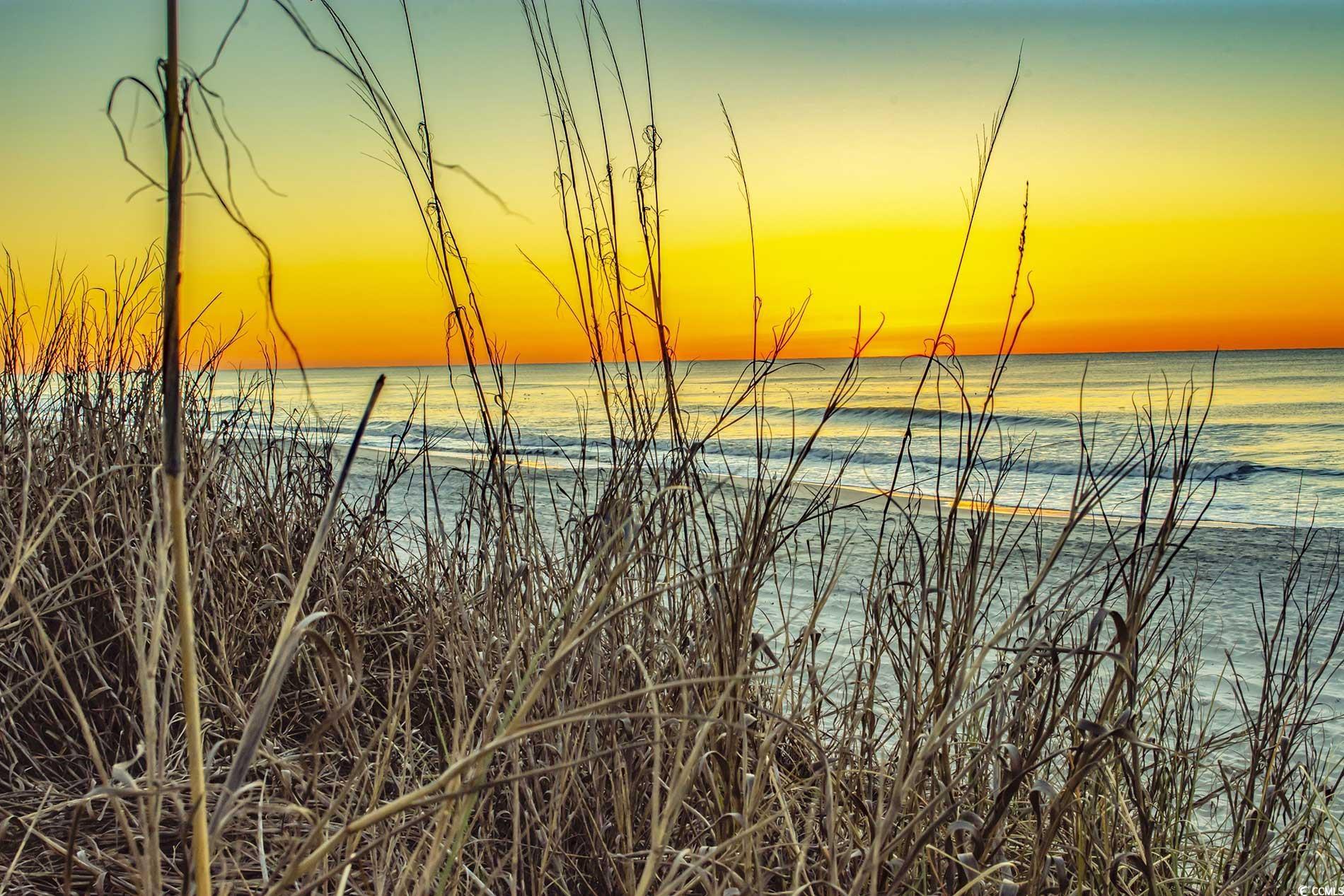 3380 Dusty Road Loris, SC 29569 - Photo 36 of 38