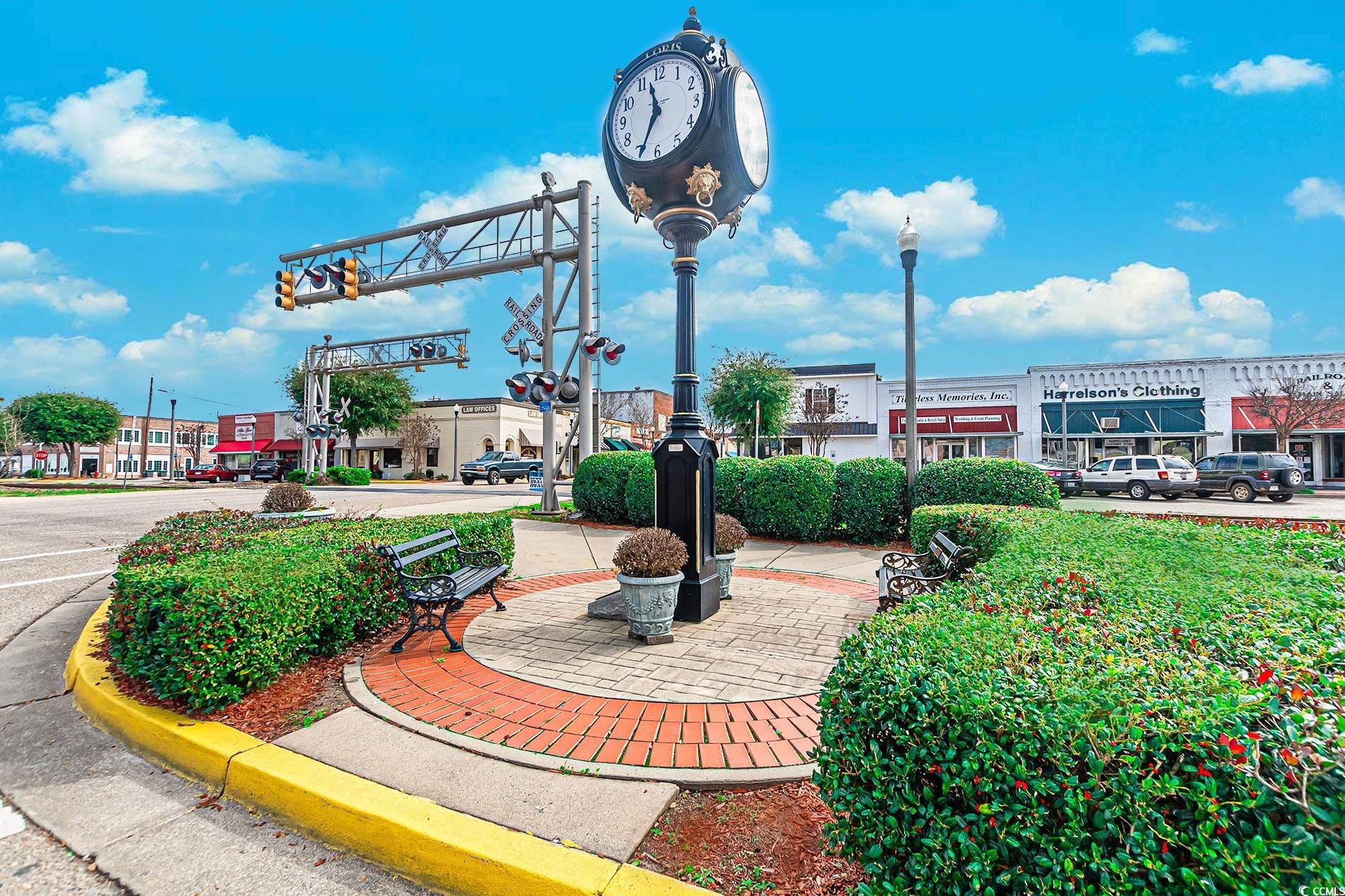3380 Dusty Road Loris, SC 29569 - Photo 37 of 38