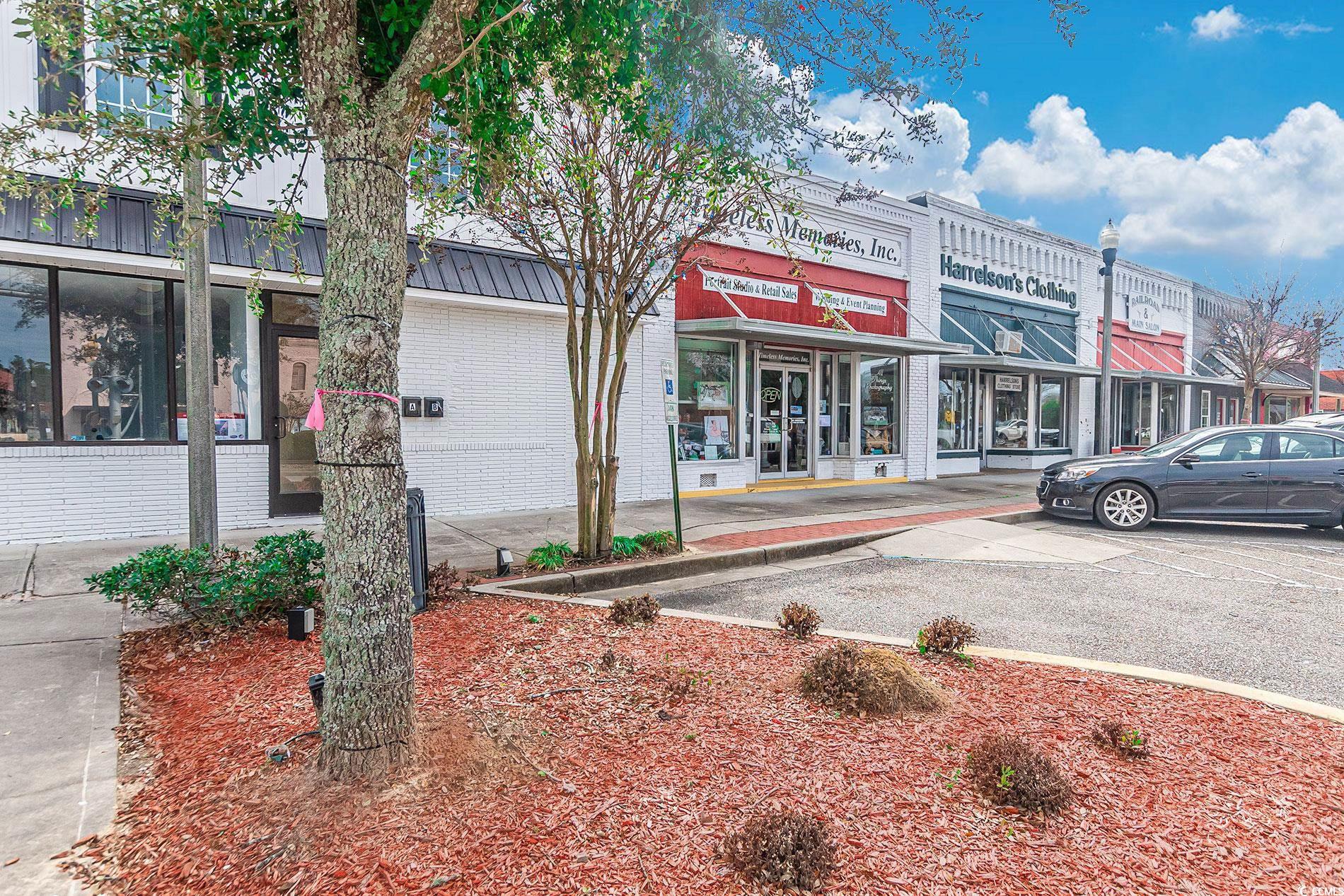 3380 Dusty Road Loris, SC 29569 - Photo 38 of 38