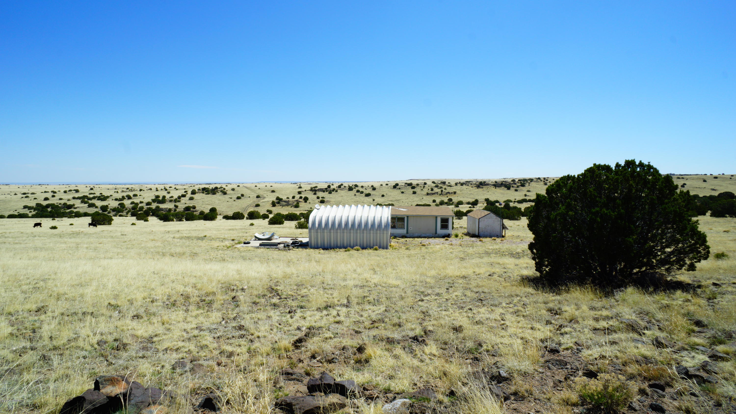 Tbd Tbd Cedar Gulch Ranch Concho, AZ 85924 - Photo 1 of 56