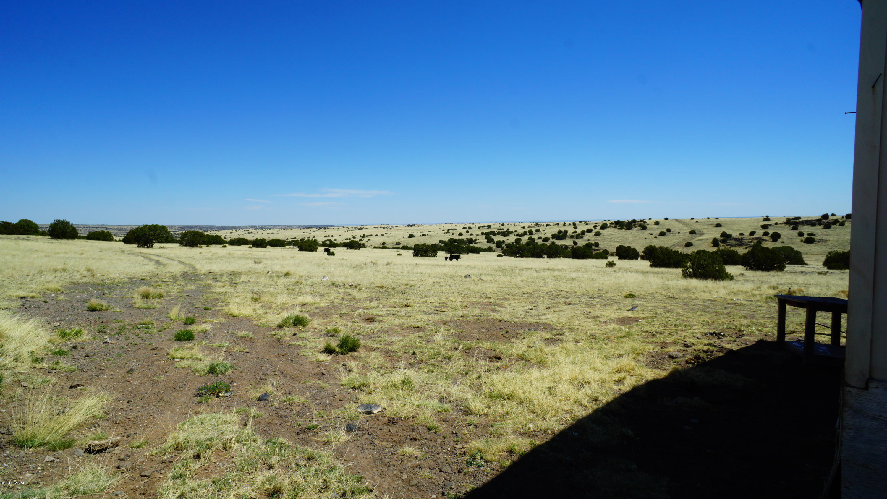 Tbd Tbd Cedar Gulch Ranch Concho, AZ 85924 - Photo 11 of 56