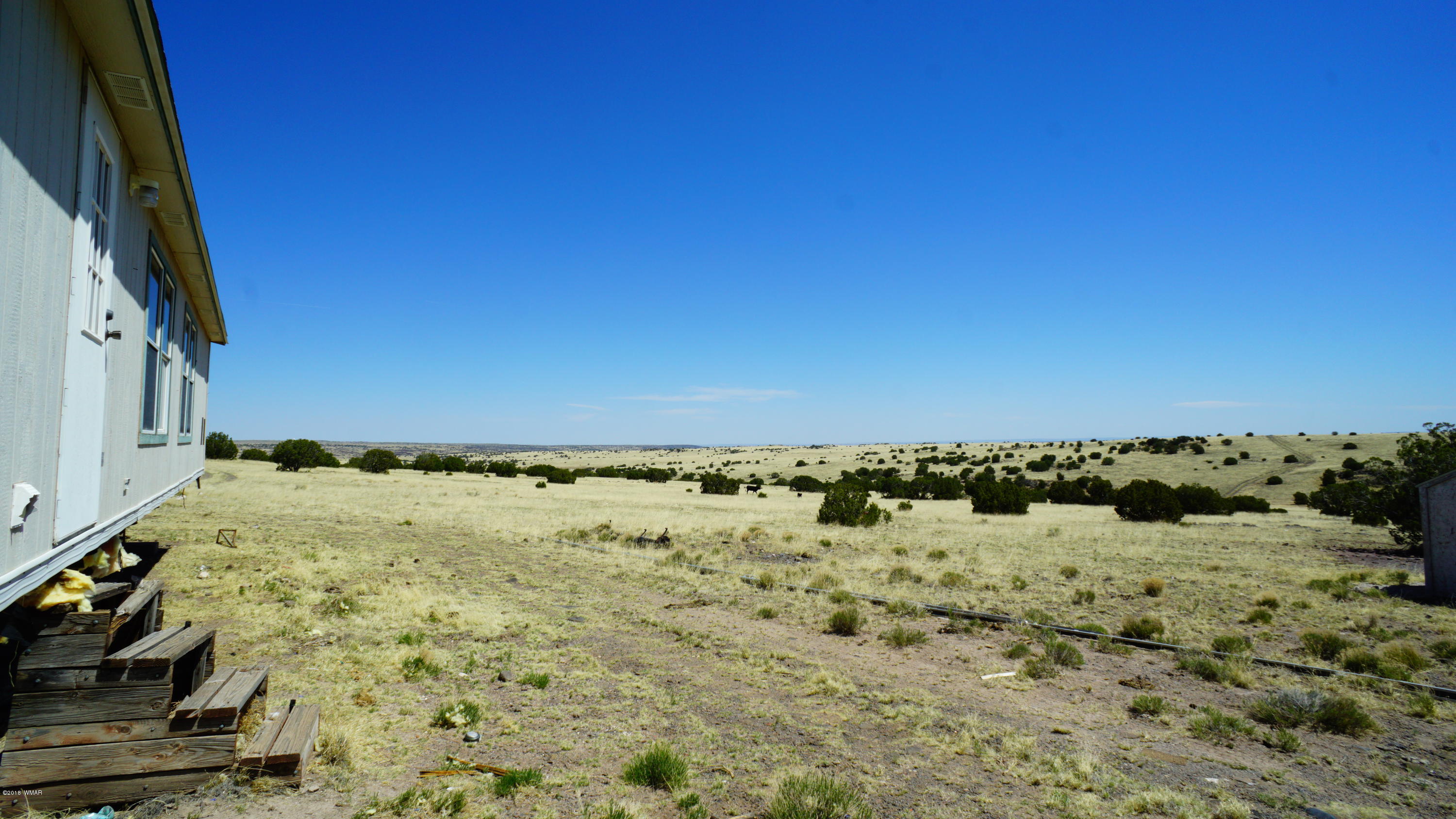 Tbd Tbd Cedar Gulch Ranch Concho, AZ 85924 - Photo 14 of 56