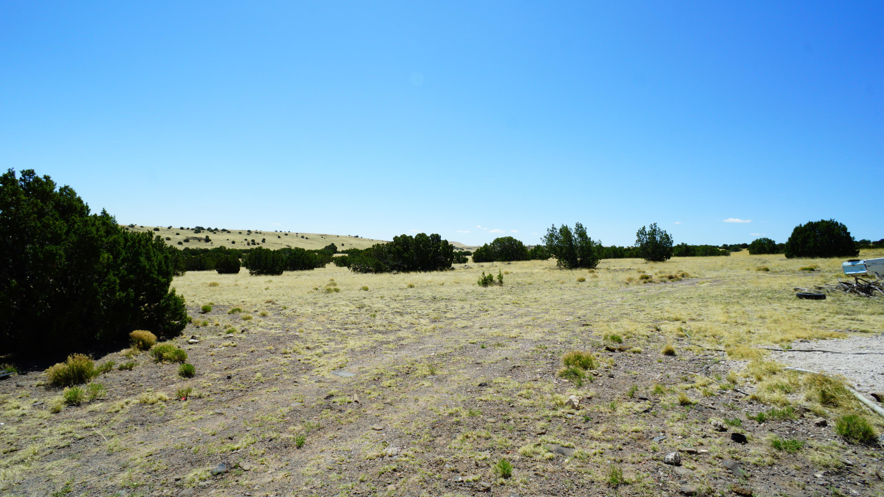 Tbd Tbd Cedar Gulch Ranch Concho, AZ 85924 - Photo 17 of 56