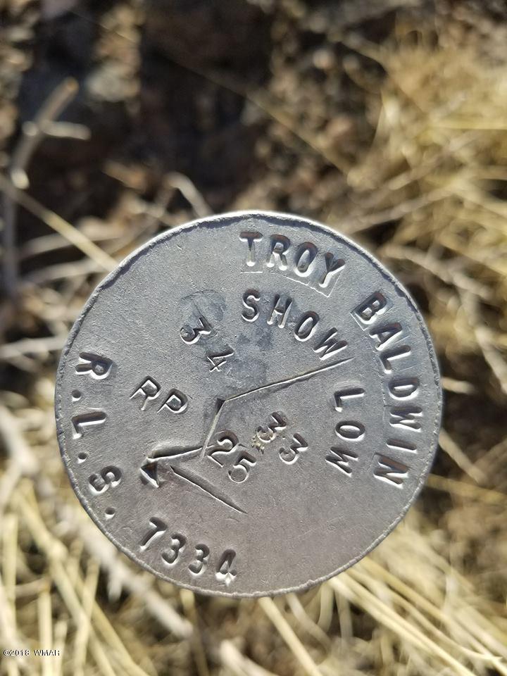 Tbd Tbd Cedar Gulch Ranch Concho, AZ 85924 - Photo 46 of 56