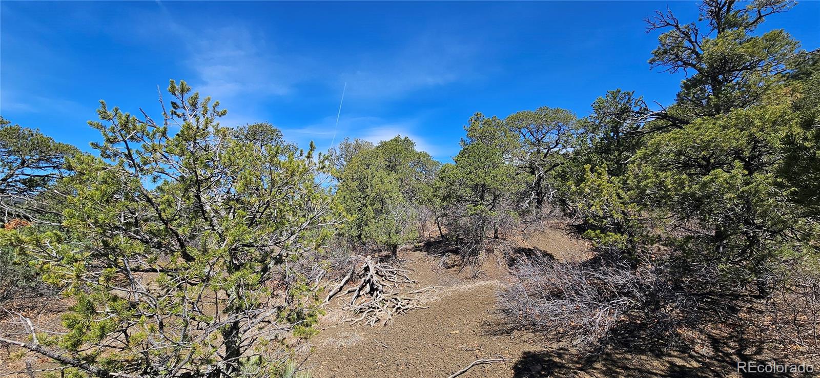 69.8 County Road Trinidad, CO 81082 - Photo 4 of 10 Gallery Image 4