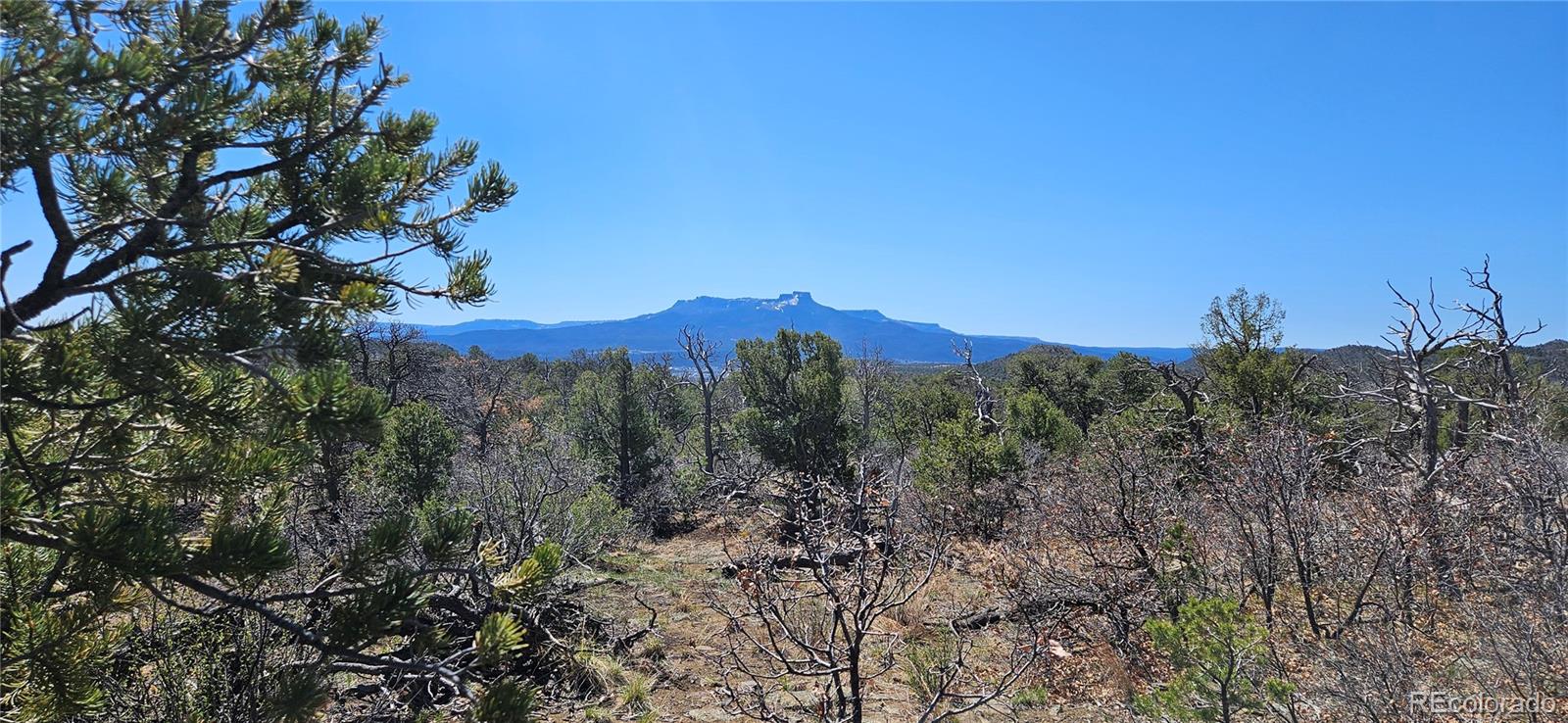 69.8 County Road Trinidad, CO 81082 - Photo 10 of 10 Gallery Image 10