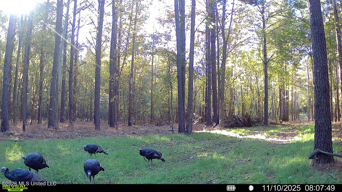 425 Rose Hill Road Bentonia, MS 39040 - Photo 36 of 150 066E25B5-B86A-4EE3-B3D4-634BDA135C09_1_1